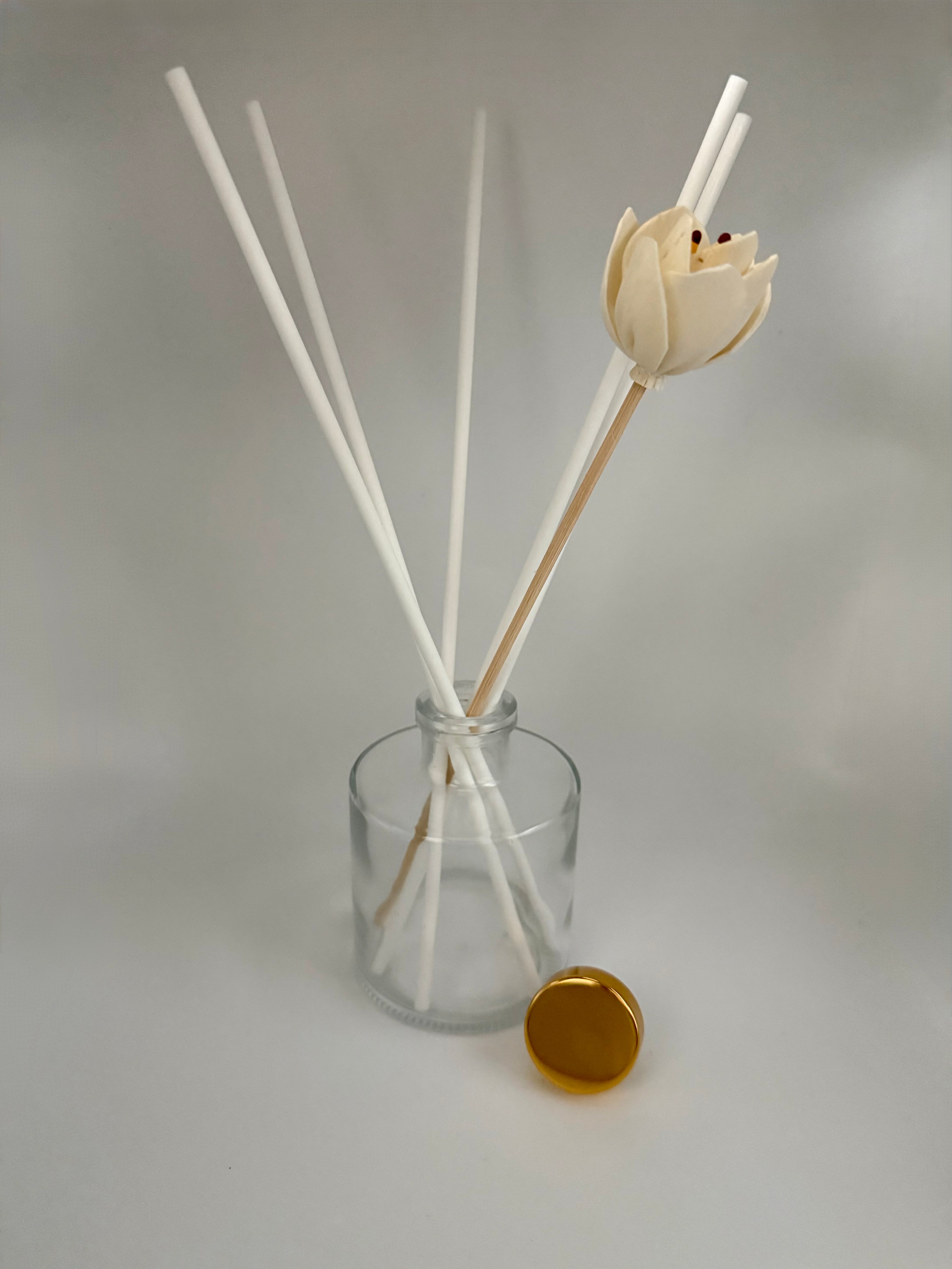 Clearance - Flameless Home Scents